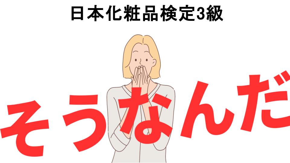 意味ないと思う人におすすめ！日本化粧品検定3級の代わり